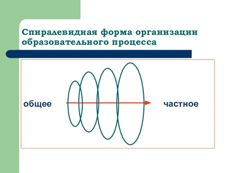 Спиралевидная форма организации образовательного процесса общее частное