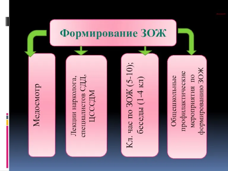 Формирование ЗОЖ Медосмотр Лекции нарколога, специалистов СДД, ЦСССДМ Кл. час по ЗОЖ