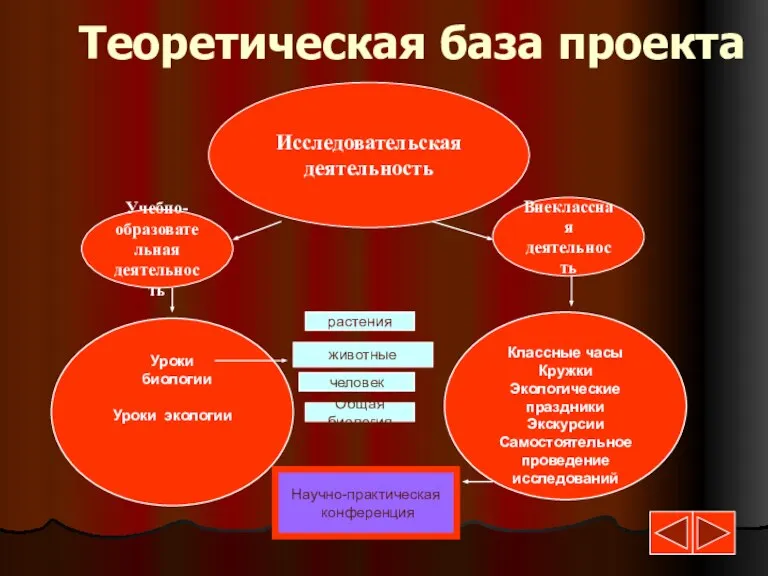 Исследовательская деятельность Учебно- образовательная деятельность Внеклассная деятельность Классные часы Кружки Экологические праздники