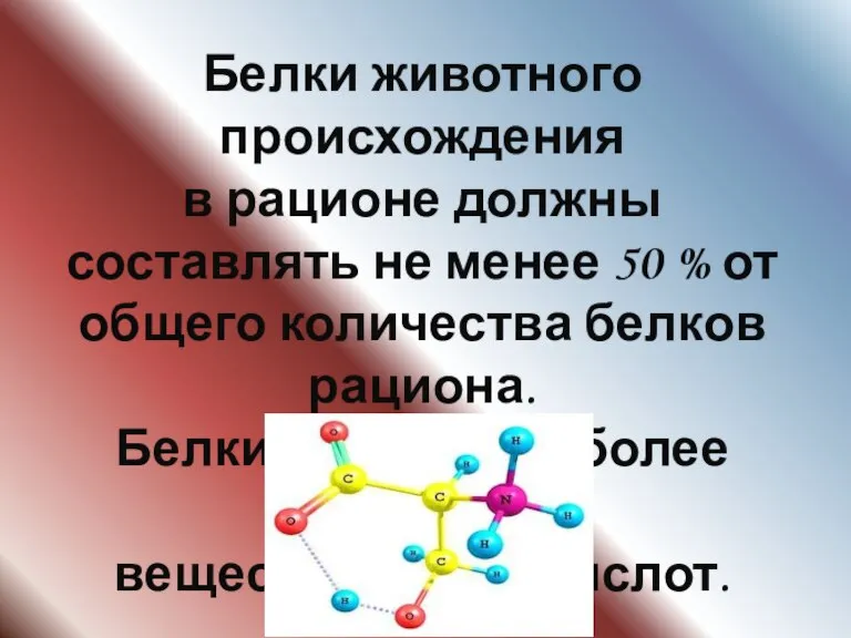 Белки животного происхождения в рационе должны составлять не менее 50 % от