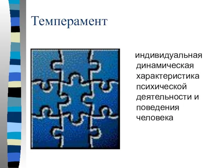 Темперамент индивидуальная динамическая характеристика психической деятельности и поведения человека