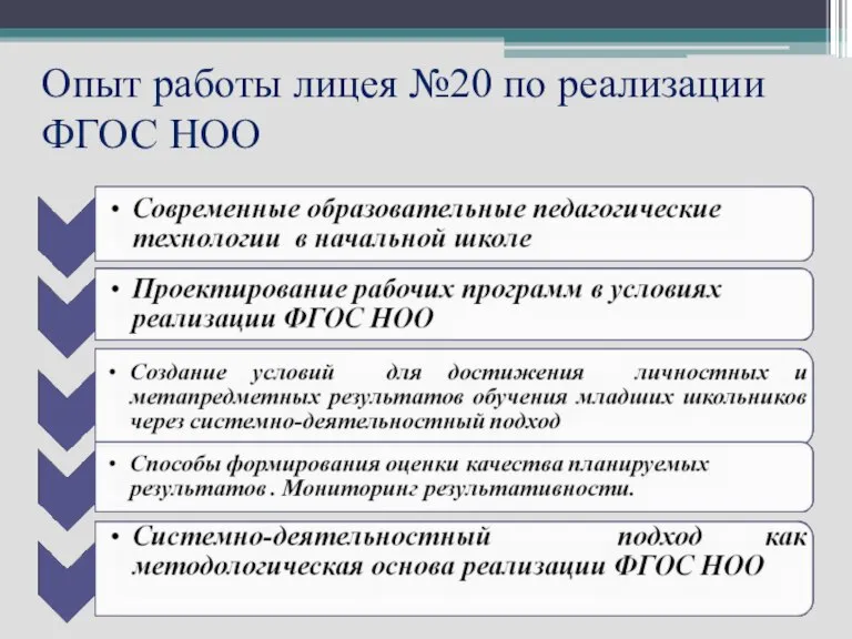 Опыт работы лицея №20 по реализации ФГОС НОО