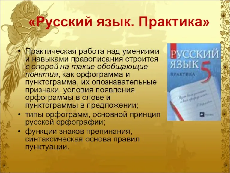 «Русский язык. Практика» Практическая работа над умениями и навыками правописания строится с