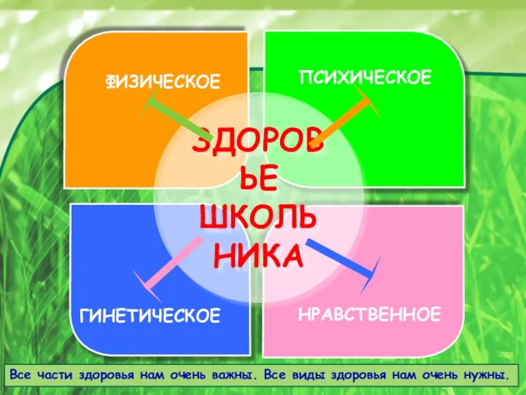 ЗДОРОВЬЕ ШКОЛЬНИКА ФИЗИЧЕСКОЕ ПСИХИЧЕСКОЕ Все части здоровья нам очень важны. Все виды