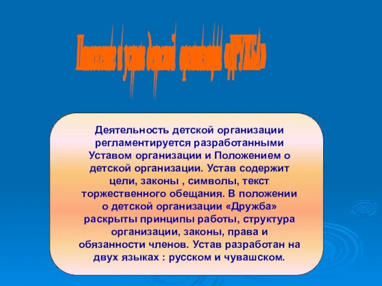 Деятельность детской организации регламентируется разработанными Уставом организации и Положением о детской организации.