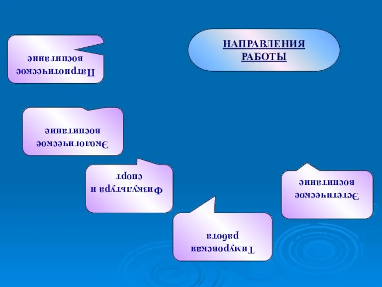 НАПРАВЛЕНИЯ РАБОТЫ Патриотическое воспитание Экологическое воспитание Физкультура и спорт Тимуровская работа Эстетическое воспитание