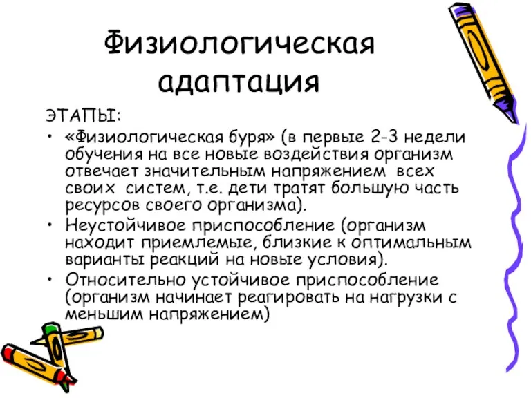 Физиологическая адаптация ЭТАПЫ: «Физиологическая буря» (в первые 2-3 недели обучения на все