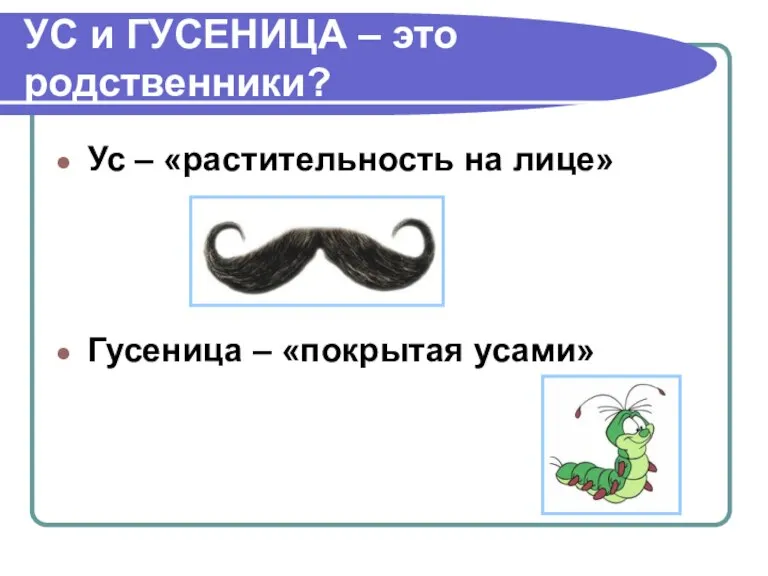 УС и ГУСЕНИЦА – это родственники? Ус – «растительность на лице» Гусеница – «покрытая усами»