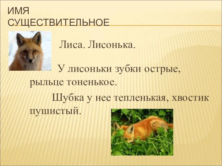 ИМЯ СУЩЕСТВИТЕЛЬНОЕ Лиса. Лисонька. У лисоньки зубки острые, рыльце тоненькое. Шубка у нее тепленькая, хвостик пушистый.