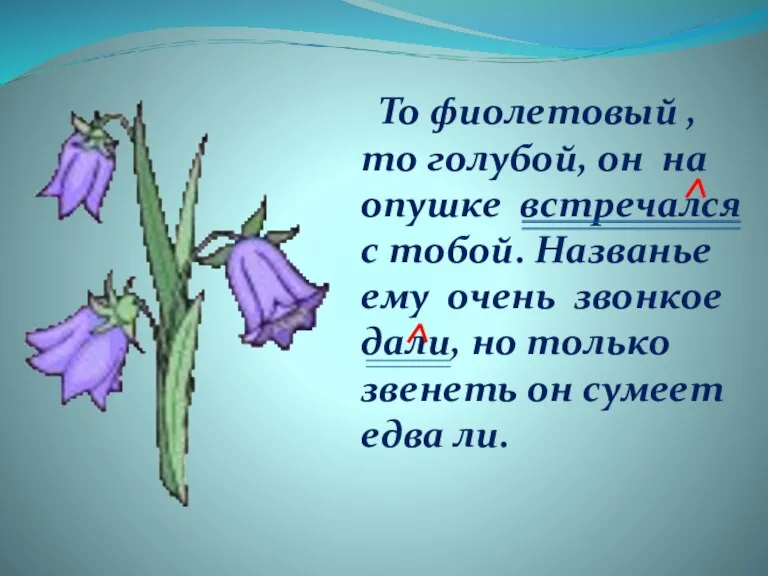 То фиолетовый , то голубой, он на опушке встречался с тобой. Названье