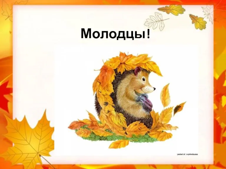 Молодцы!