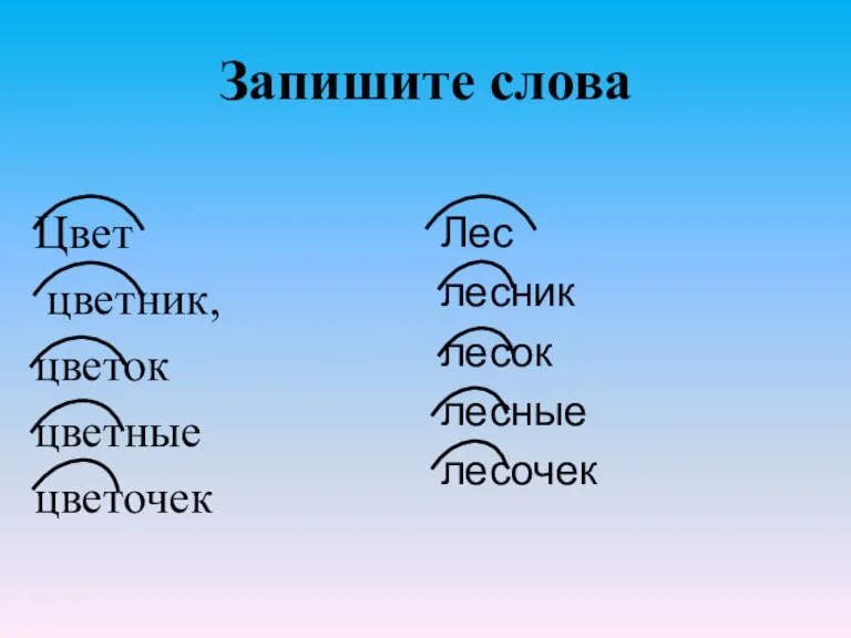 Запишите слова Цвет цветник, цветок цветные цветочек Лес лесник лесок лесные лесочек