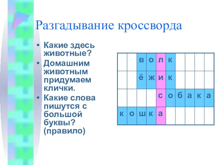 Разгадывание кроссворда Какие здесь животные? Домашним животным придумаем клички. Какие слова пишутся с большой буквы? (правило)