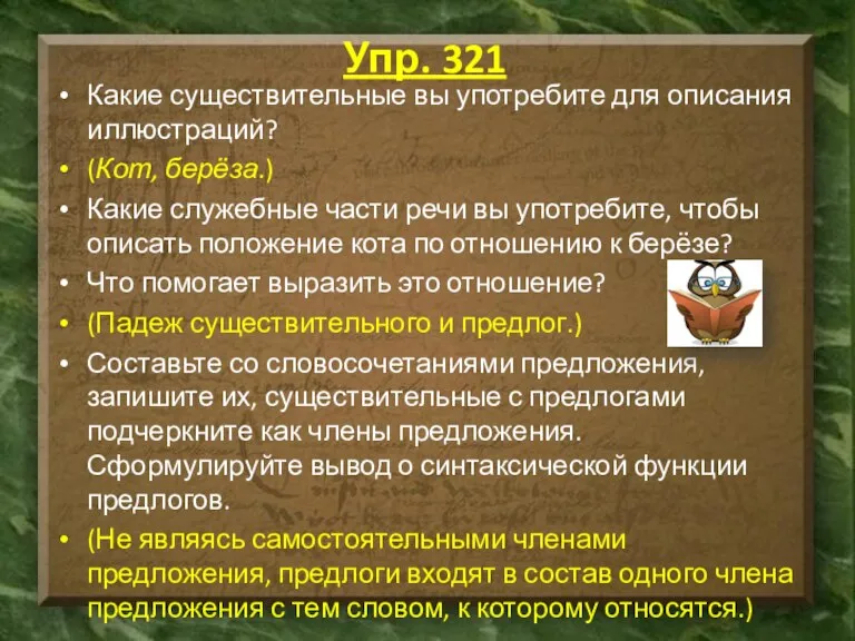 Упр. 321 Какие существительные вы употребите для описания иллюстраций? (Кот, берёза.) Какие