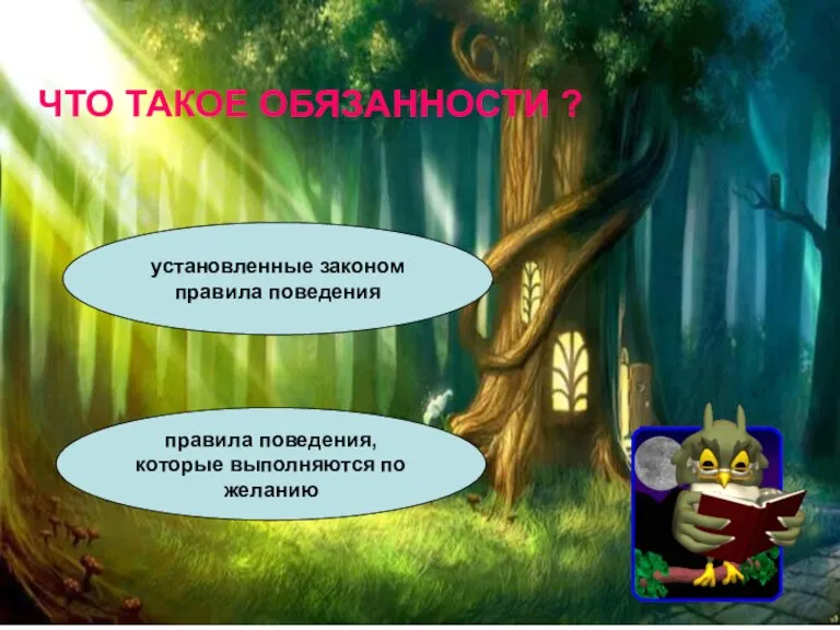 ЧТО ТАКОЕ ОБЯЗАННОСТИ ? установленные законом правила поведения правила поведения, которые выполняются по желанию