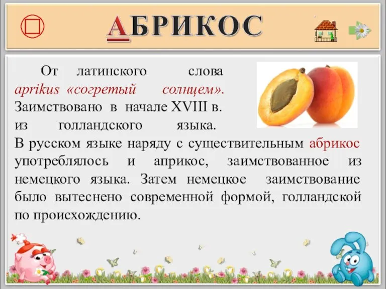 От латинского слова aprikus «согретый солнцем». Заимствовано в начале XVIII в. из