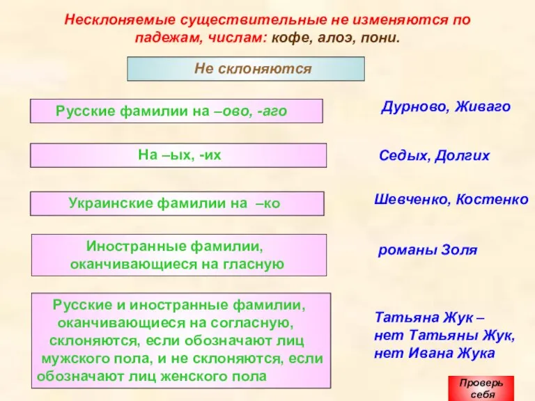 Несклоняемые существительные не изменяются по падежам, числам: кофе, алоэ, пони. Не склоняются Проверь себя