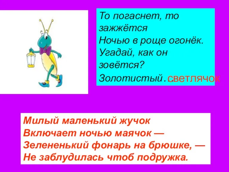 Милый маленький жучок Включает ночью маячок — Зелененький фонарь на брюшке, —