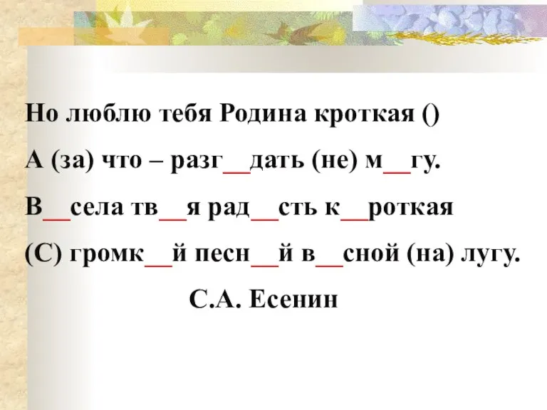 Но люблю тебя Родина кроткая () А (за) что – разг__дать (не)