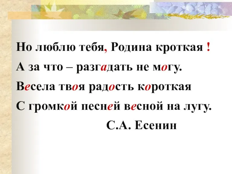 Но люблю тебя, Родина кроткая ! А за что – разгадать не