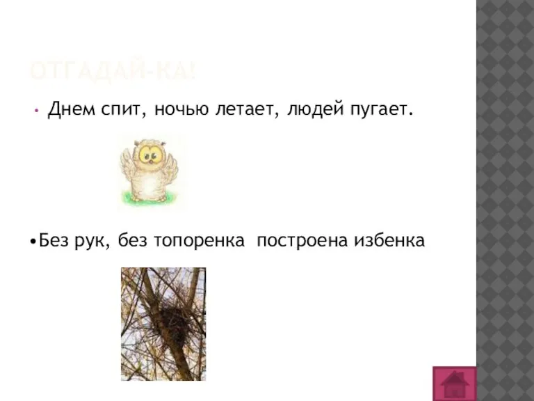 ОТГАДАЙ-КА! Днем спит, ночью летает, людей пугает. сова Без рук, без топоренка построена избенка гнездо