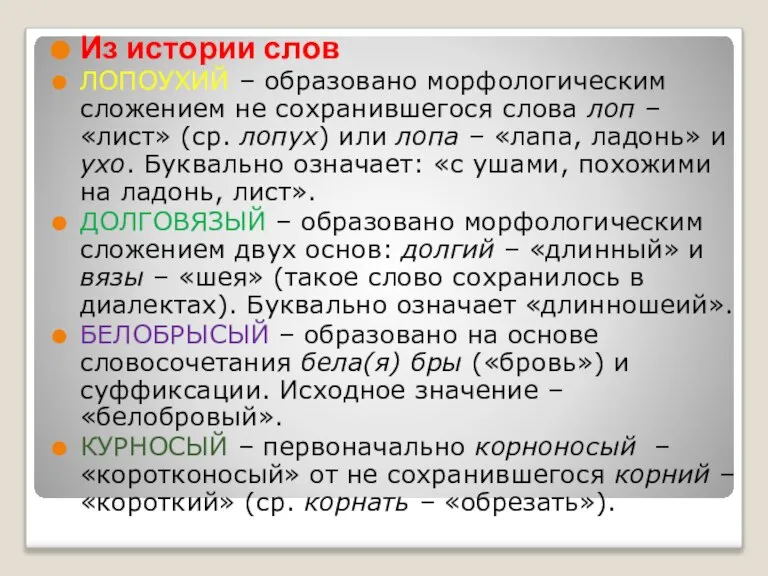 Из истории слов ЛОПОУХИЙ – образовано морфологическим сложением не сохранившегося слова лоп