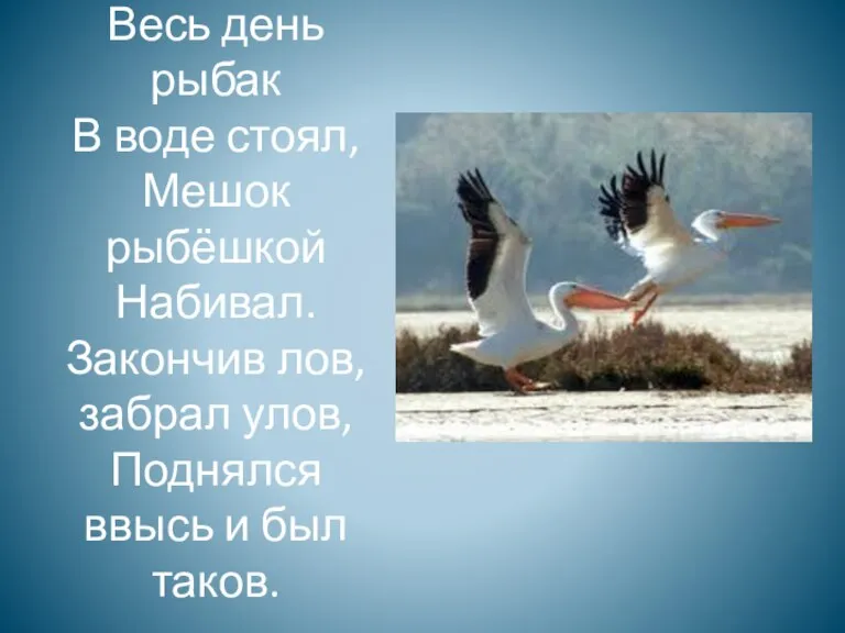 Весь день рыбак В воде стоял, Мешок рыбёшкой Набивал. Закончив лов, забрал