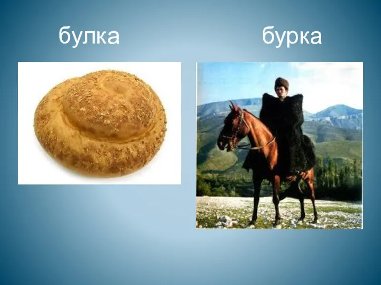 булка бурка