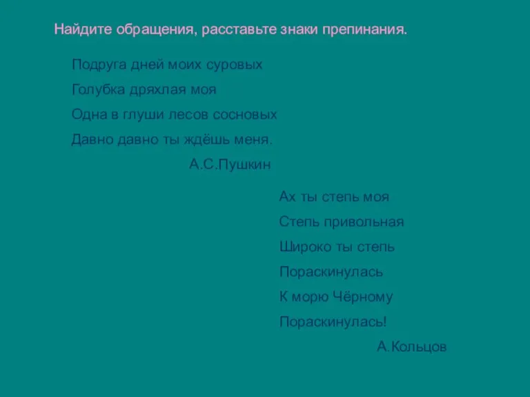 Найдите обращения, расставьте знаки препинания. Подруга дней моих суровых Голубка дряхлая моя