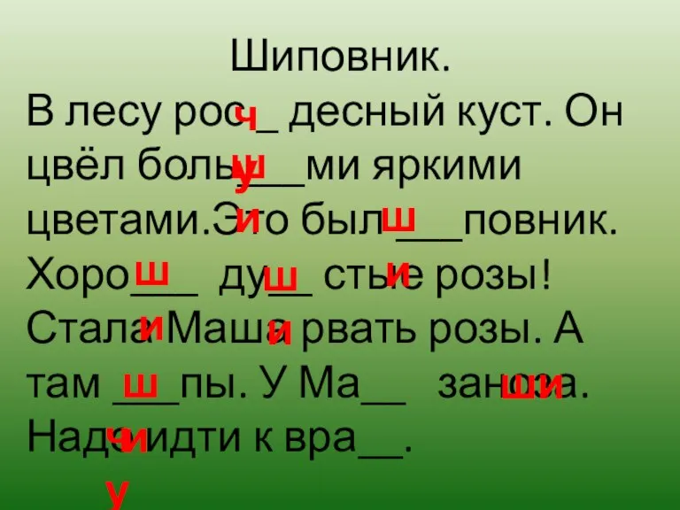 Шиповник. В лесу рос _ десный куст. Он цвёл боль___ми яркими цветами.Это