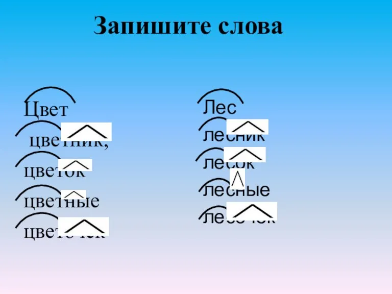 Запишите слова Цвет цветник, цветок цветные цветочек Лес лесник лесок лесные лесочек