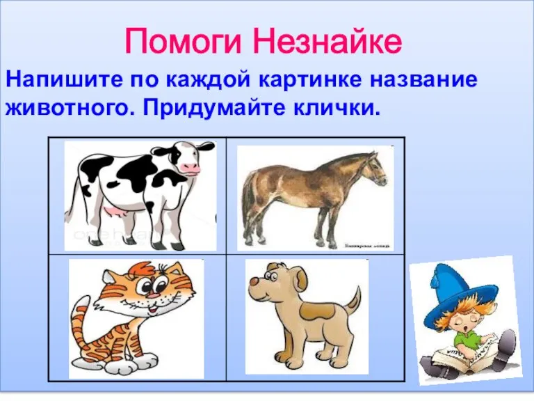 Помоги Незнайке Напишите по каждой картинке название животного. Придумайте клички.