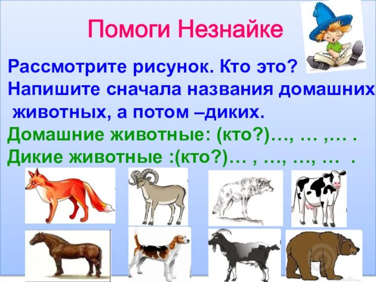 Помоги Незнайке Рассмотрите рисунок. Кто это? Напишите сначала названия домашних животных, а