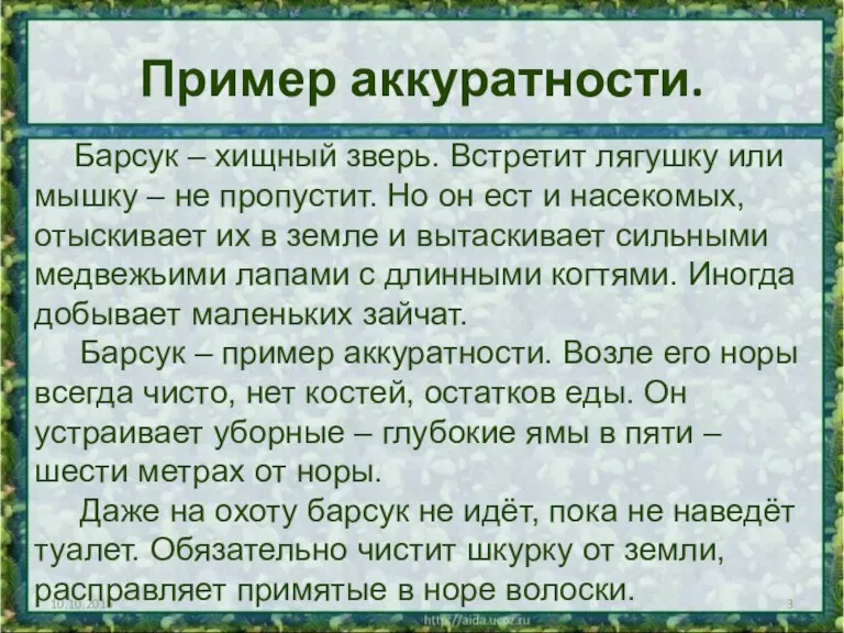 Пример аккуратности. Барсук – хищный зверь. Встретит лягушку или мышку – не