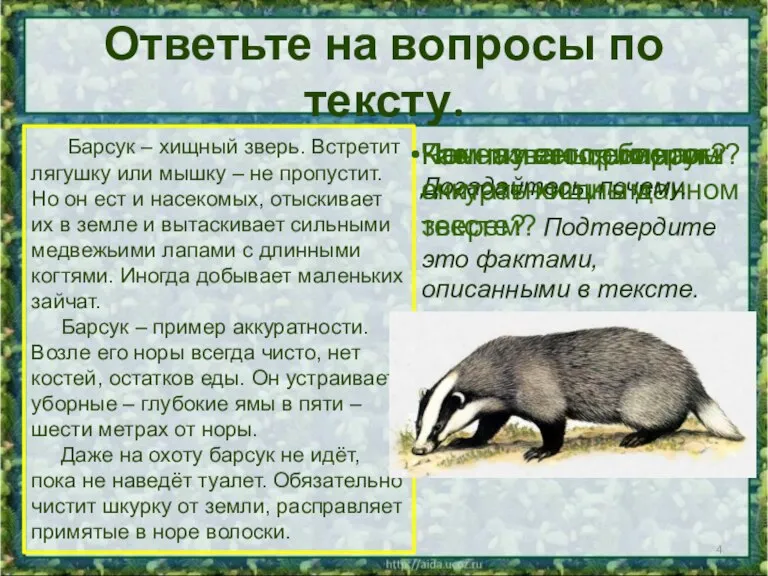 Ответьте на вопросы по тексту. Барсук – хищный зверь. Встретит лягушку или