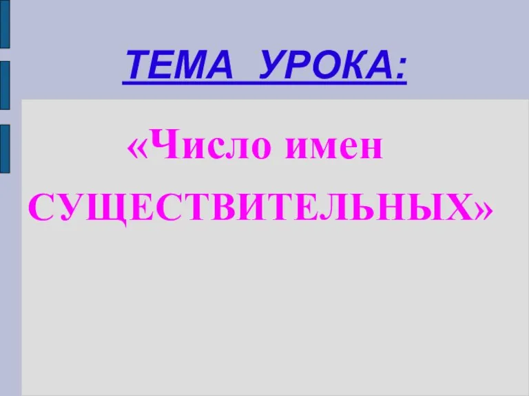 ТЕМА УРОКА: «Число имен СУЩЕСТВИТЕЛЬНЫХ»