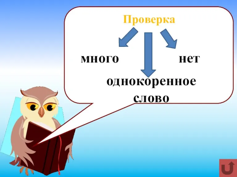 Проверка много нет однокоренное слово