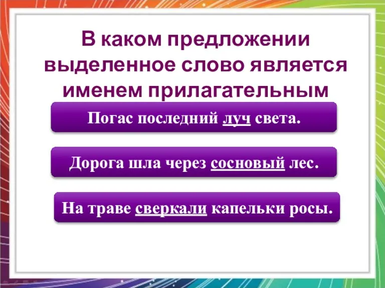 Дорога шла через сосновый лес. На траве сверкали капельки росы. Погас последний