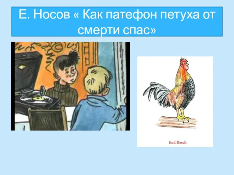 Е. Носов « Как патефон петуха от смерти спас»