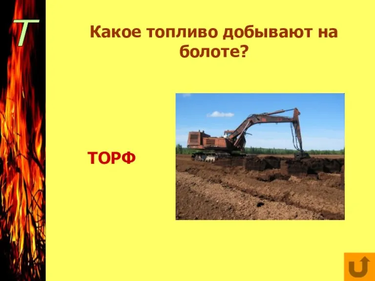 Т Какое топливо добывают на болоте? ТОРФ