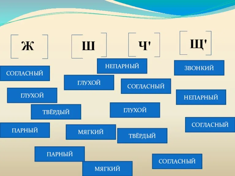 Ж Ш Ч' Щ' СОГЛАСНЫЙ СОГЛАСНЫЙ СОГЛАСНЫЙ СОГЛАСНЫЙ ЗВОНКИЙ ТВЁРДЫЙ ПАРНЫЙ ГЛУХОЙ