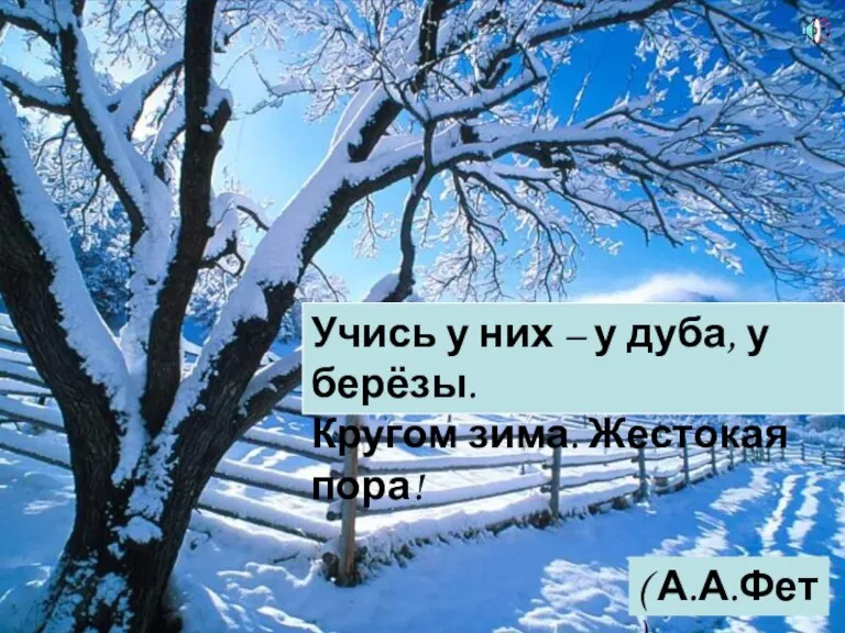 Учись у них – у дуба, у берёзы. Кругом зима. Жестокая пора! ( А.А.Фет )