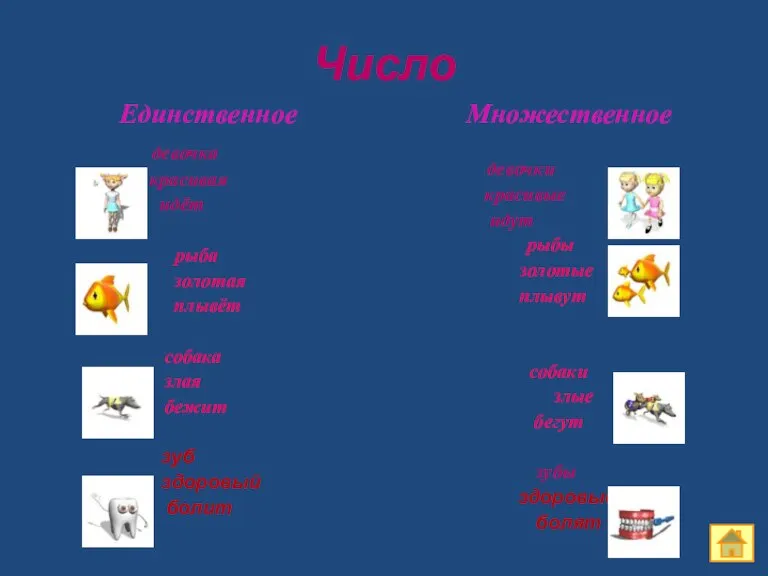 Число Единственное девочка красивая идёт рыба золотая плывёт собака злая бежит зуб