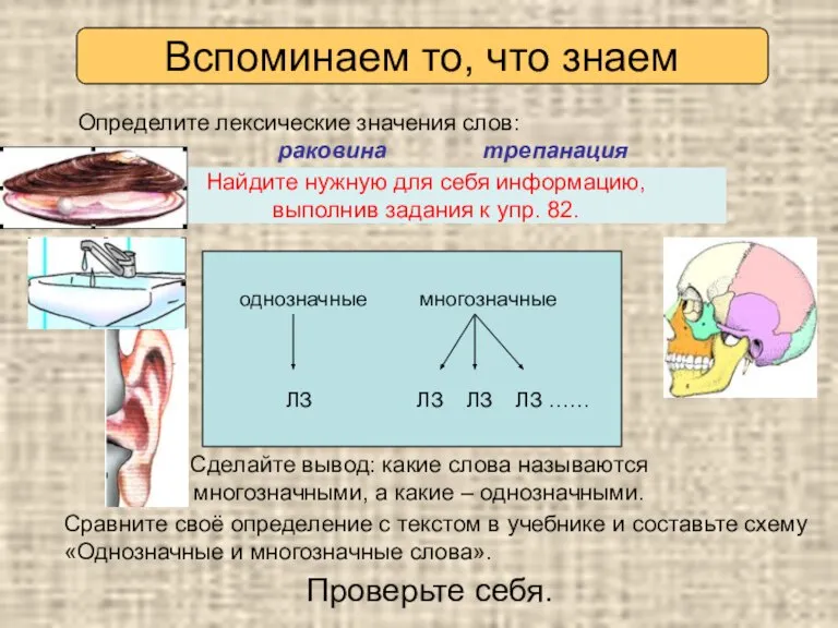 Раковина Трепанация 1) 1) 2) 3) 4) Определите лексические значения слов: раковина