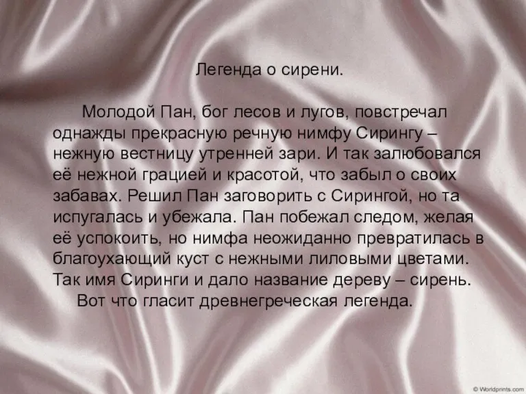 Легенда о сирени. Молодой Пан, бог лесов и лугов, повстречал однажды прекрасную