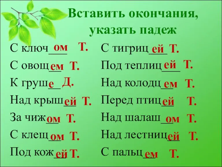 Вставить окончания, указать падеж С ключ___ С овощ__ К груш__ Над крыш__