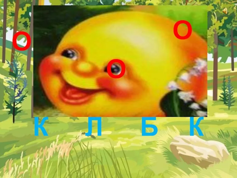 О О К Л Б К О