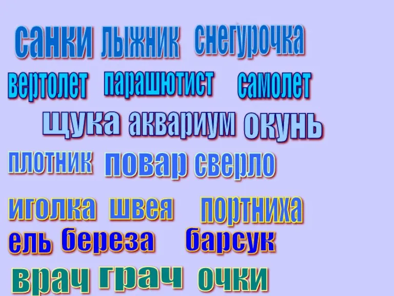 санки снегурочка лыжник вертолет парашютист самолет щука аквариум окунь плотник повар сверло