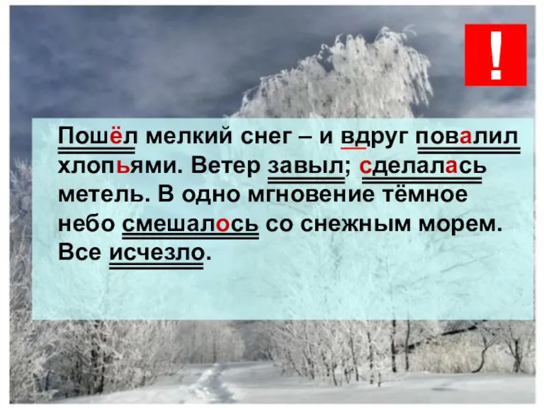 Пошёл мелкий снег – и вдруг повалил хлопьями. Ветер завыл; сделалась метель.