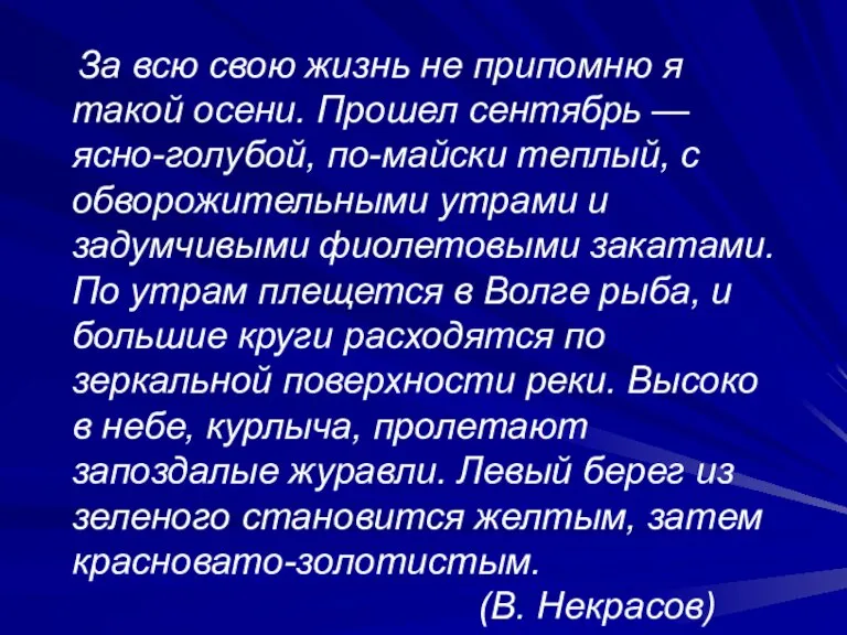 За всю свою жизнь не припомню я такой осени. Прошел сентябрь —